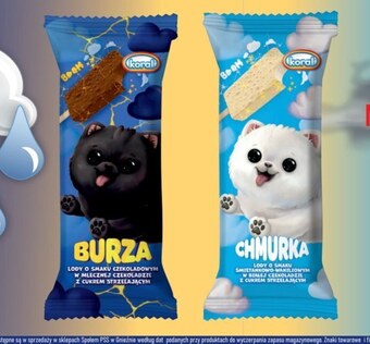 Społem Lody ekipa oferta