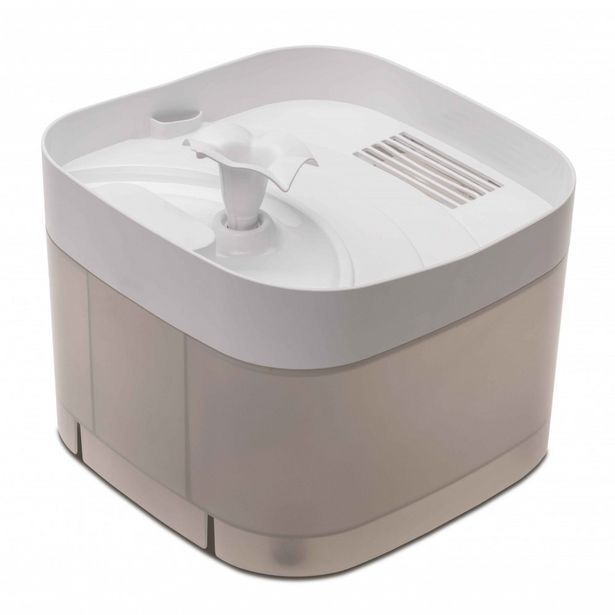 AquaelZOO Comfy poidło automatyczne catspring oferta