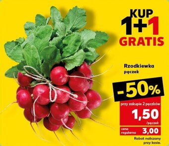 Kaufland Rzodkiewka pęczek oferta