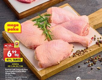 Biedronka Udo świeże z kurczaka kraina mięs oferta