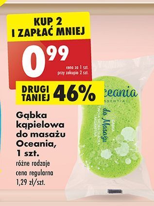 Biedronka Gąbka do masażu oceania oferta
