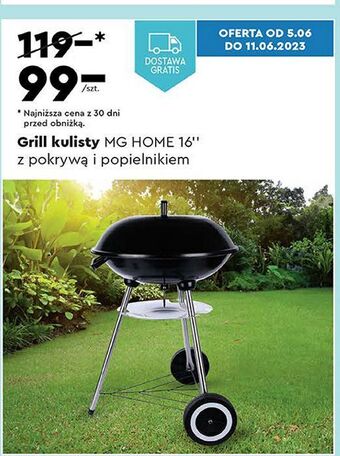 Biedronka Grill kulisty 16 mg home oferta