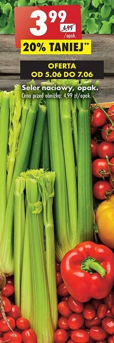 Biedronka Seler naciowy oferta