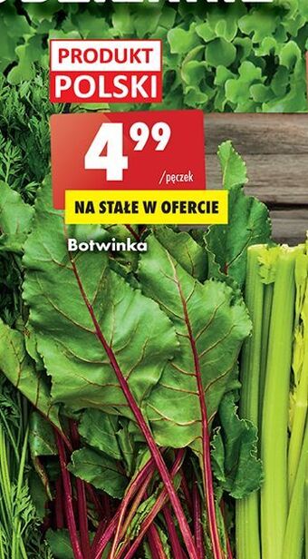 Biedronka Botwinka oferta