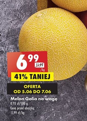 Biedronka Melon galia oferta