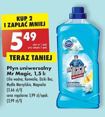 Biedronka Płyn uniwersalny lilia wodna mr magic oferta