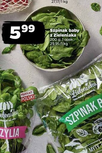 Netto Szpinak baby z zieleniaka netto oferta
