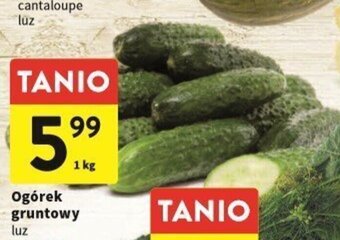 Intermarche Ogórek gruntowy luz 1kg oferta