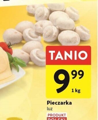 Intermarche Pieczarka 1kg oferta