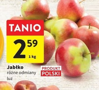 Intermarche Jabłka oferta
