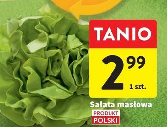 Intermarche Sałata masłowa oferta