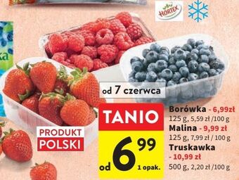 Intermarche Borówka amerykańska oferta