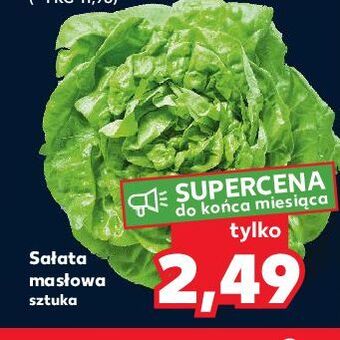 Kaufland Sałata masłowa oferta