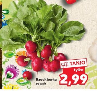 Kaufland Rzodkiewka oferta