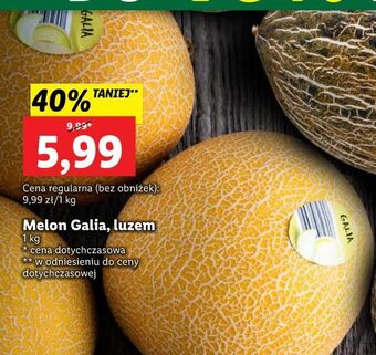 Lidl Melon galia oferta