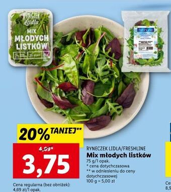 Lidl Mix młodych listków freshline oferta
