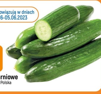 E.Leclerc Ogórki oferta