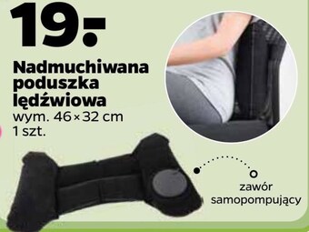 Netto Poduszka oferta