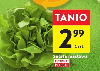 Intermarche Sałata oferta