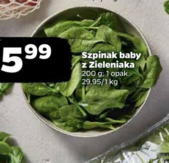 Netto Szpinak oferta