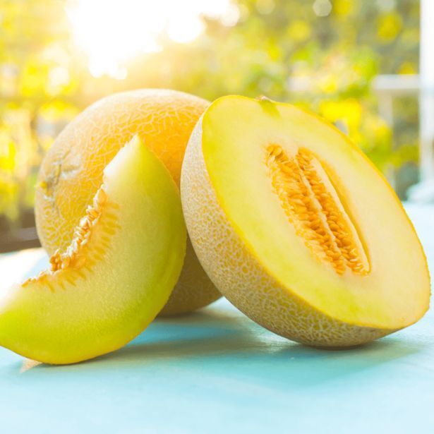 ALDI Melon miodowy oferta