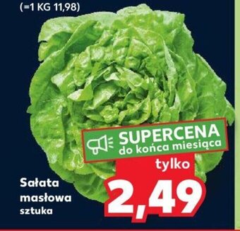 Kaufland Sałata masłowa sztuka oferta