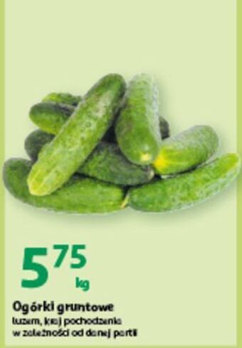 Auchan Ogórki gruntowe oferta