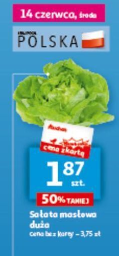 Auchan Sałata masłowa oferta