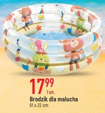 E.Leclerc Brodzik dla malucha wym. 61 x 22 cm oferta