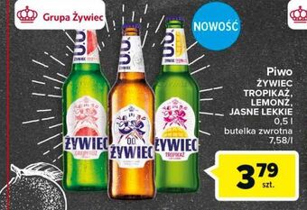 Carrefour Piwo żywiec tropikaż z nutą imbiru oferta