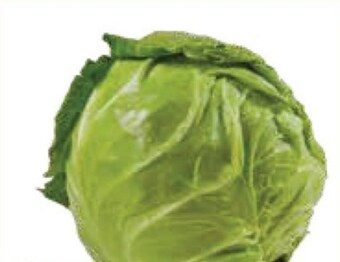 E.Leclerc Kapusta młoda oferta