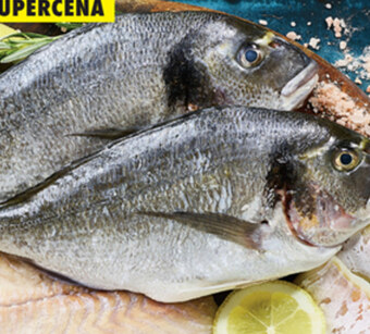 Biedronka Dorada marinero oferta