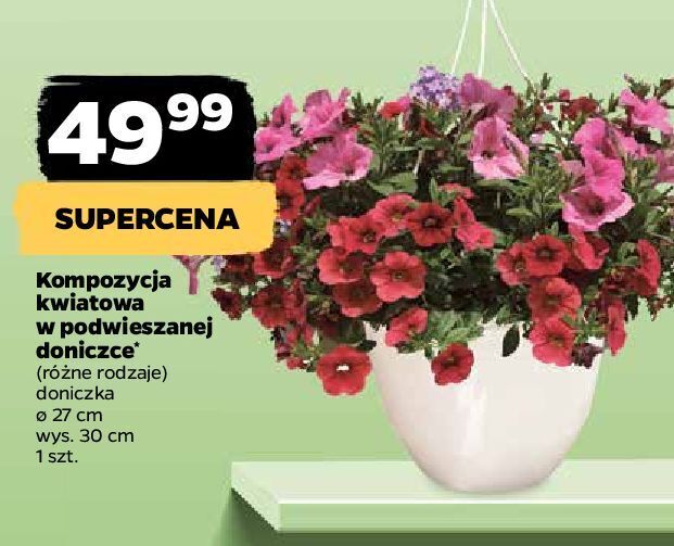 Netto Kompozycja kwatowa w podwieszanej doniczce oferta