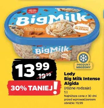 Netto Lody słony karmel intense algida big milk oferta