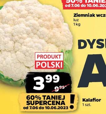 Netto Kalafior oferta