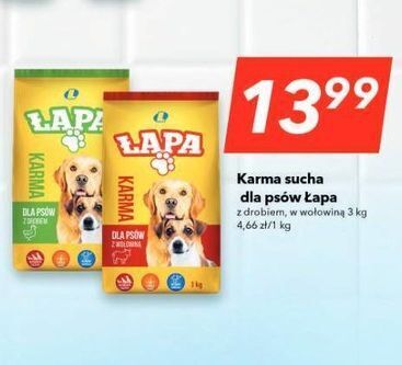 Lewiatan Karma sucha dla psów z wołowiną łapa 3kg oferta