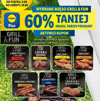 Lidl Grill & Fun Wybrane produkty oferta