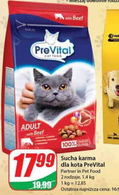 Dino Karma dla kota z wołowina prevital oferta