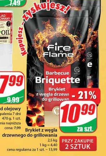 Dino Brykiet z węgla drzewnego fire & flame oferta