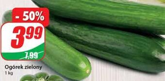 Dino Ogórek zielony oferta