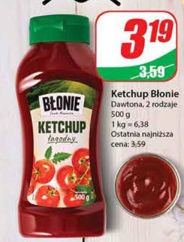 Dino Ketchup łagodny błonie oferta