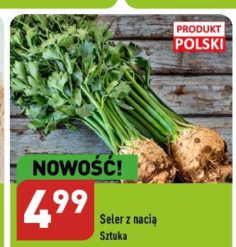 ALDI Seler z nacią sztuka. oferta