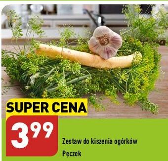 ALDI Zestaw do kiszenia ogórków oferta