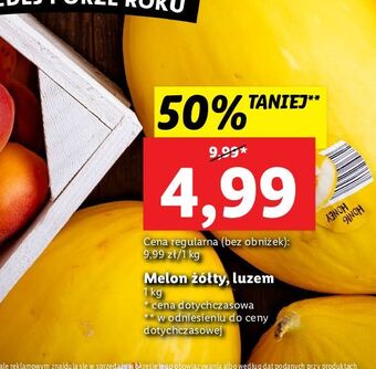 Lidl Melon żółty oferta