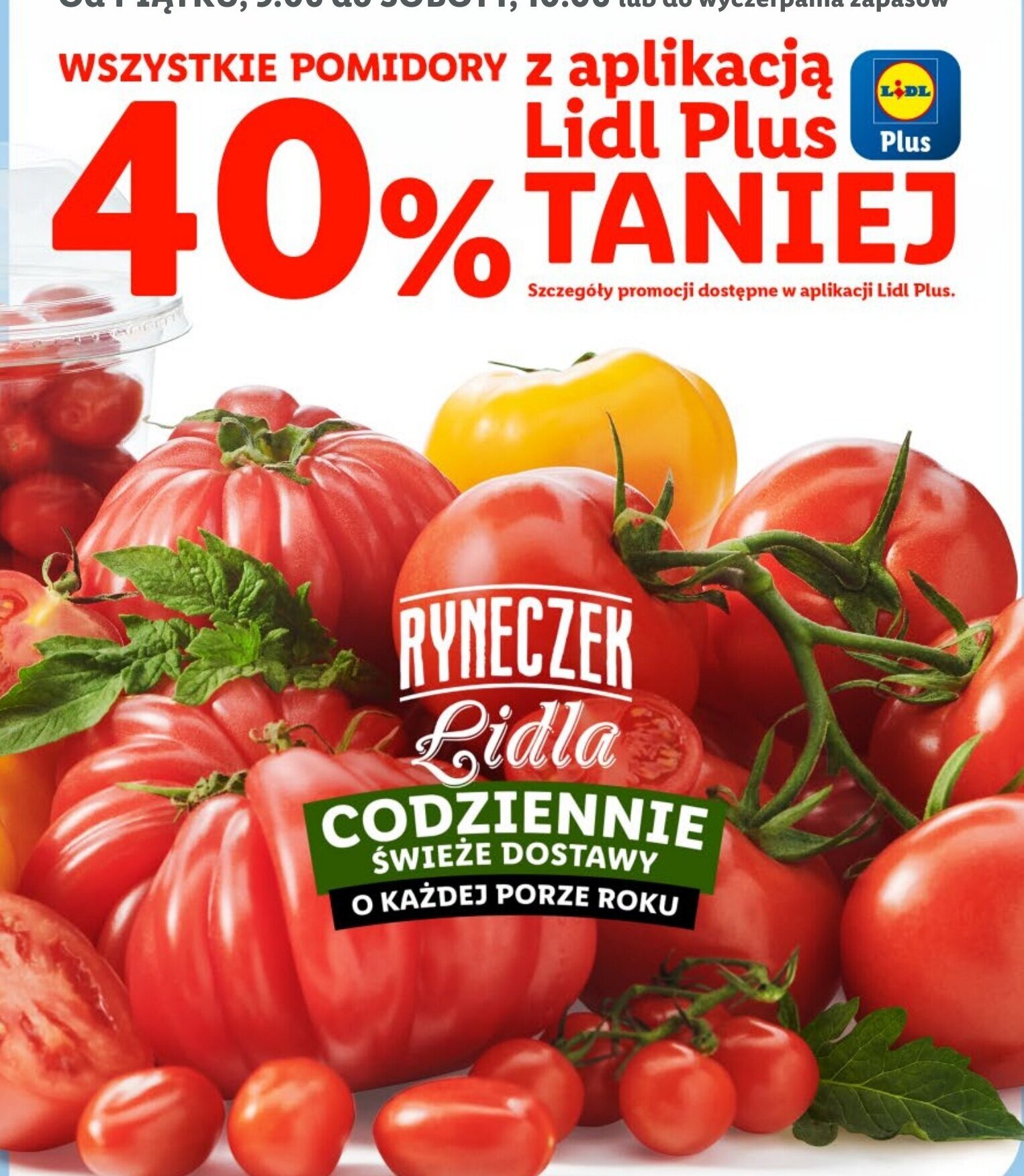 Lidl WSZYSTKIE POMIDORY oferta