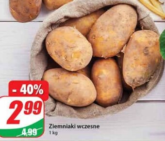 Dino Ziemniaki oferta