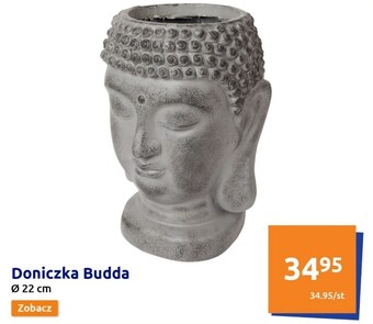 Action Doniczka oferta