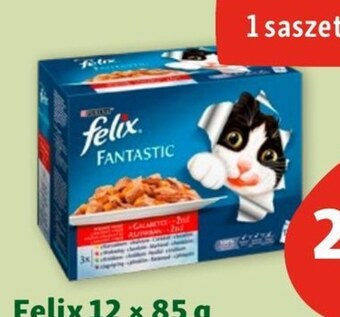 Maxi Zoo Karma dla kota felix oferta