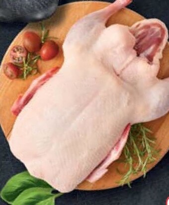 Stokrotka Kaczka drosed oferta