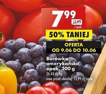 Biedronka Borówka amerykańska, opak. 300 g oferta
